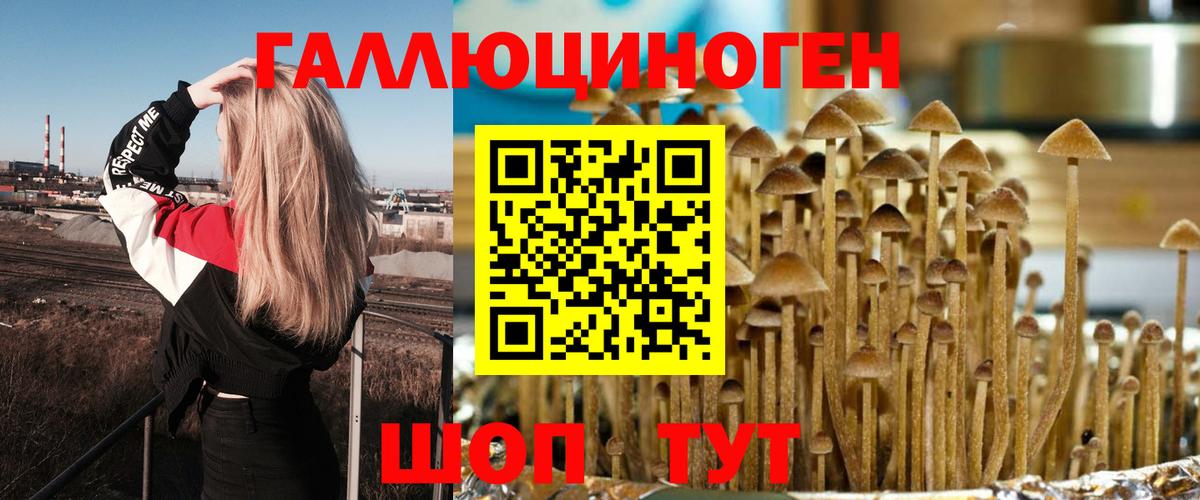 Галлюциногенные грибы Cubensis Зерноград